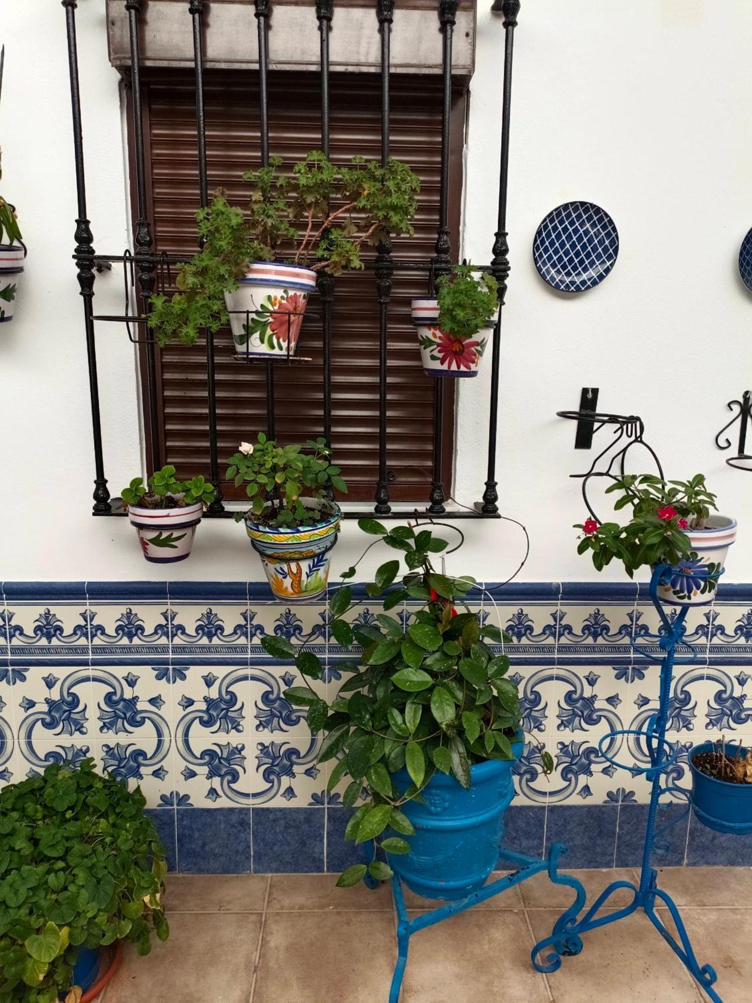 Casa Rural Patio Rociero El Rocío Exterior photo